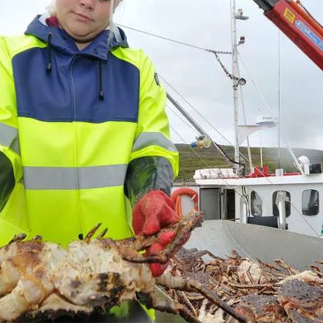 King crab fishing in north norway