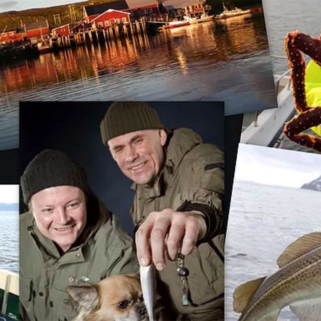 Picture collage of king crab fishing in north of Norway